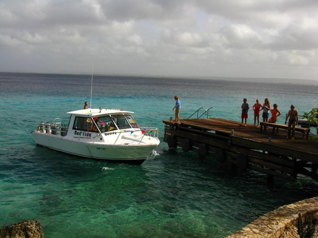Belmar Oceanfront Apartments Bonaire Zewnętrze zdjęcie