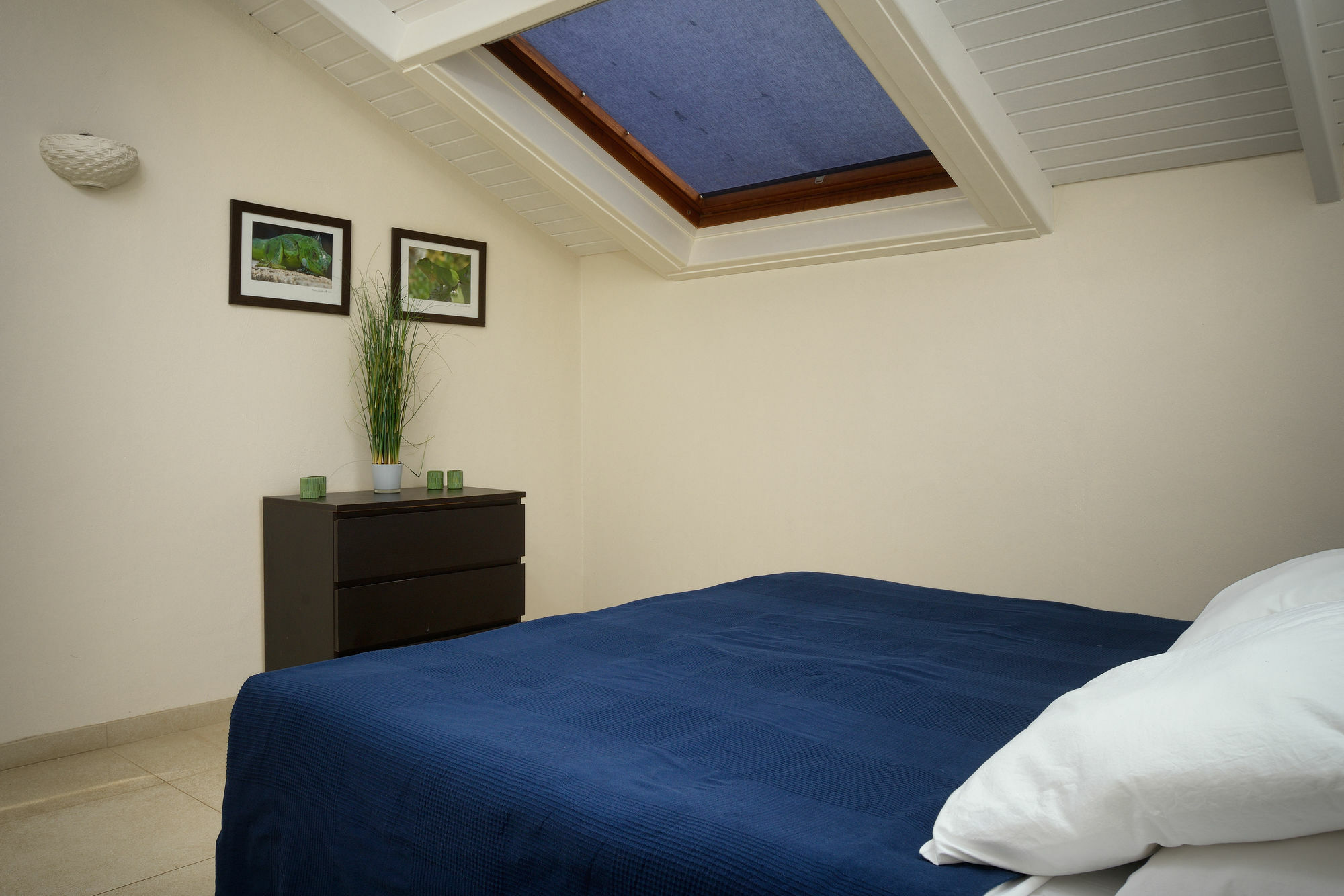 Belmar Oceanfront Apartments Bonaire Zewnętrze zdjęcie